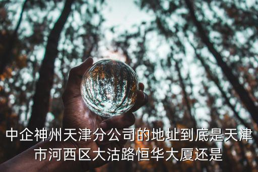 中企神州天津分公司的地址到底是天津市河西區大沽路恒華大廈還是