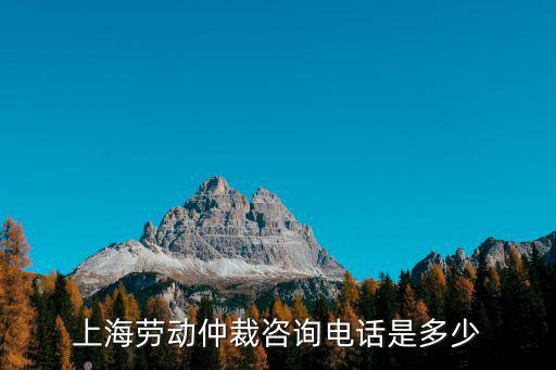 上海勞動仲裁咨詢電話是多少