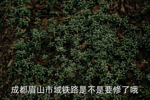 成都眉山市域鐵路是不是要修了哦