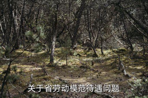 關于省勞動模范待遇問題