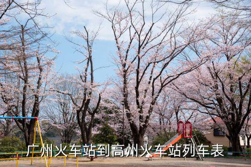 廣州火車(chē)站到高州火車(chē)站列車(chē)表