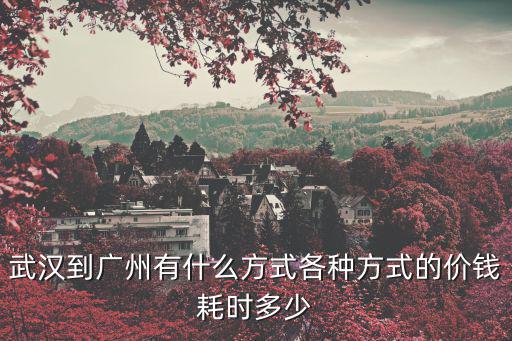 不走武漢怎么去廣州，從武漢如何去廣州