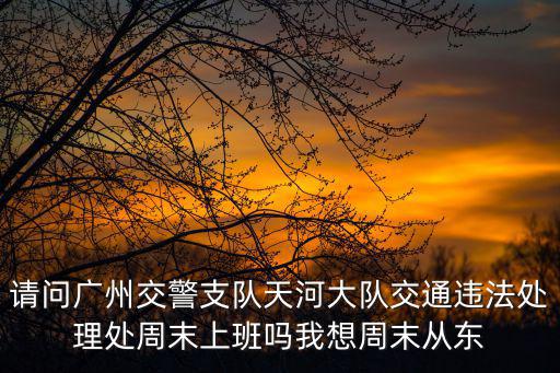 請問廣州交警支隊天河大隊交通違法處理處周末上班嗎我想周末從東