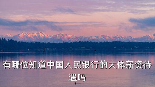 深圳中國人民銀行工資多少，有哪位知道中國人民銀行的大體薪資待遇嗎