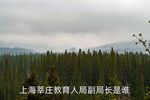上海莘莊教育人局副局長是誰