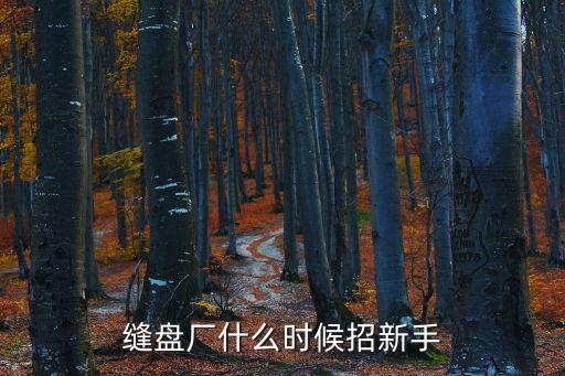 縫盤廠什么時候招新手