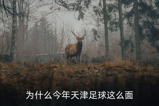 為什么今年天津足球這么面