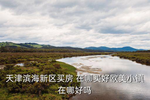 天津塘沽哪個房價最好，天津塘沽最近想買房子遠(yuǎn)洋城和中建幸福城哪個比較好呀
