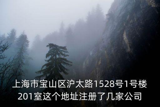 上海市寶山區(qū)滬太路1528號(hào)1號(hào)樓201室這個(gè)地址注冊(cè)了幾家公司