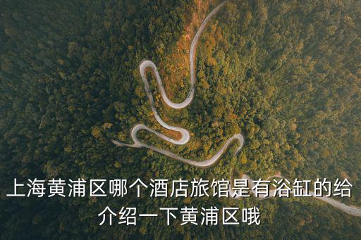 上海黃浦區哪個酒店旅館是有浴缸的給介紹一下黃浦區哦