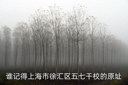 誰記得上海市徐匯區五七干校的原址