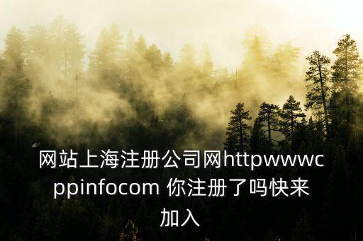 網(wǎng)站上海注冊(cè)公司網(wǎng)httpwwwcppinfocom 你注冊(cè)了嗎快來(lái)加入