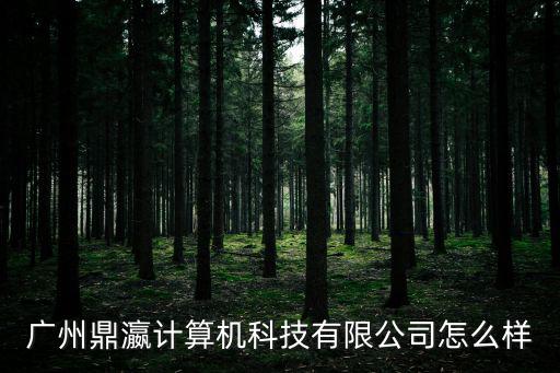 廣州鼎瀛計算機科技有限公司怎么樣
