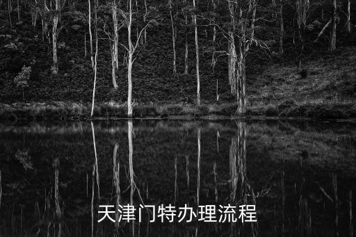 天津門特辦理流程