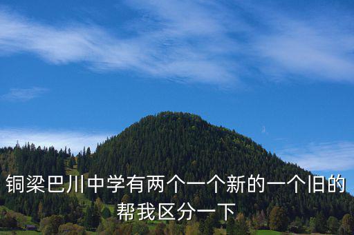 銅梁巴川中學有兩個一個新的一個舊的幫我區分一下