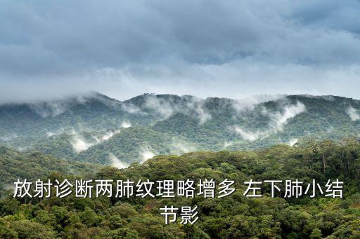 放射診斷兩肺紋理略增多 左下肺小結節影