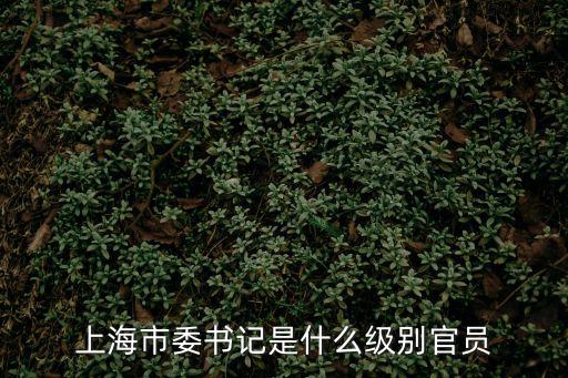 20072012上海市委書記，第一位市長是陳毅我要問的是第一個上海市委書記是誰當時誰是一把