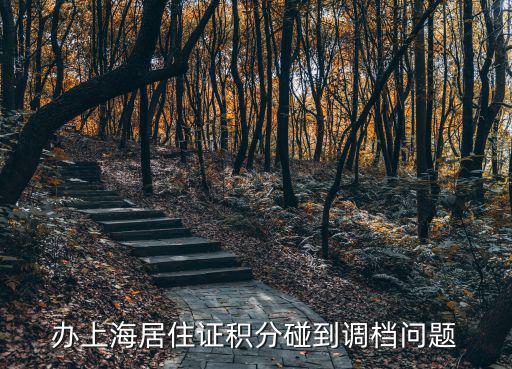 辦上海居住證積分碰到調檔問題