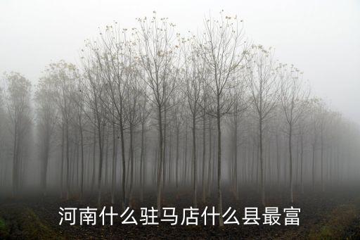 河南什么駐馬店什么縣最富