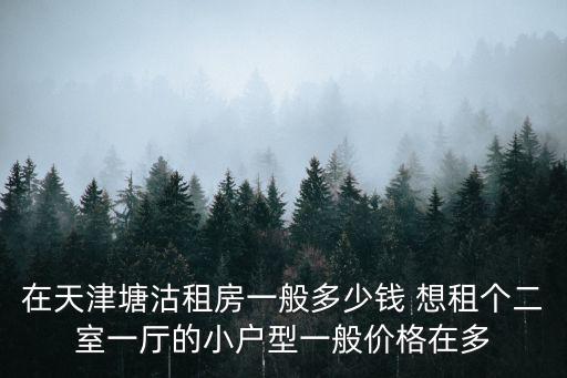 在天津塘沽租房一般多少錢 想租個二室一廳的小戶型一般價格在多