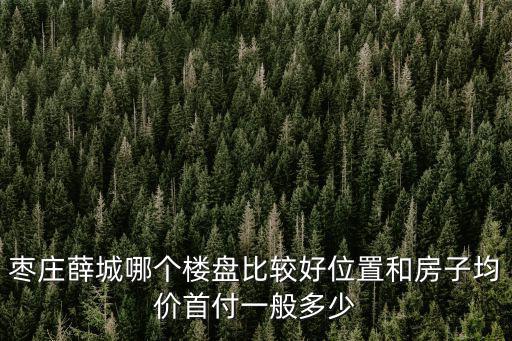 薛城哪個樓盤房價高點，棗莊薛城哪個樓盤比較好位置和房子均價首付一般多少