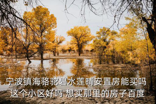 寧波鎮海駱駝碧水蓮晴安置房能買嗎 這個小區好嗎 想買那里的房子百度