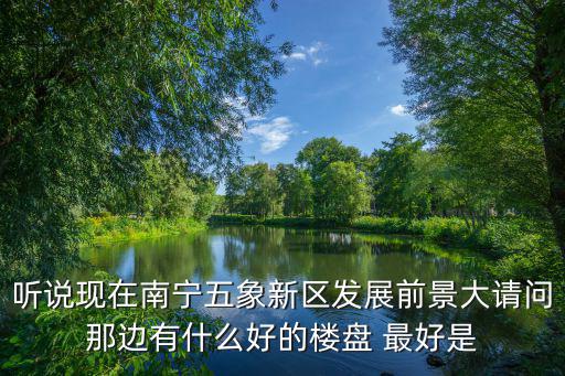 聽說現在南寧五象新區發展前景大請問那邊有什么好的樓盤 最好是