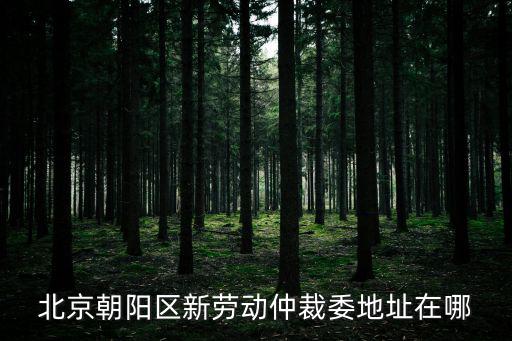 北京市朝陽區勞動仲裁委員會，北京市朝陽區的勞動仲裁委員會具體地址在哪里謝謝