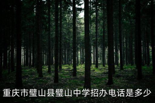 重慶市璧山中學選課系統，重慶壁山學校
