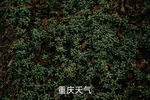 重慶天氣