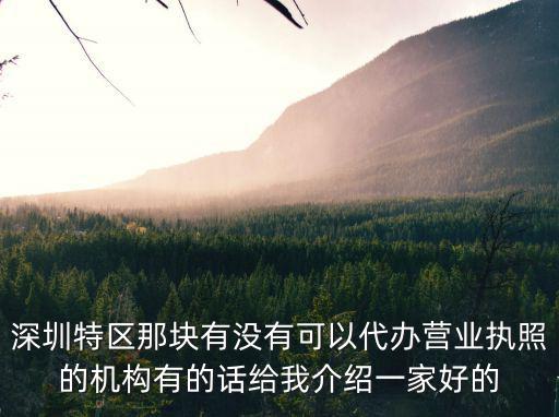 深圳特區那塊有沒有可以代辦營業執照的機構有的話給我介紹一家好的