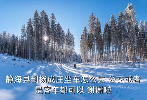 靜海縣到楊成莊坐車怎么去 公交或者是客車都可以 謝謝啦