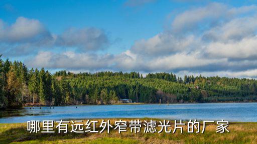 哪里有遠紅外窄帶濾光片的廠家