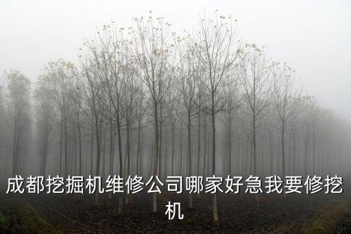 成都挖掘機維修公司哪家好急我要修挖機