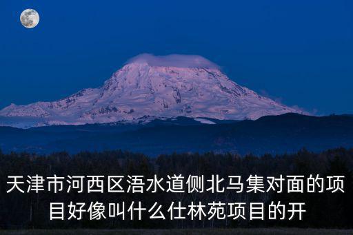 天津市河西區浯水道側北馬集對面的項目好像叫什么仕林苑項目的開