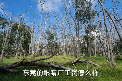 東莞的眼睛廠工資怎么樣