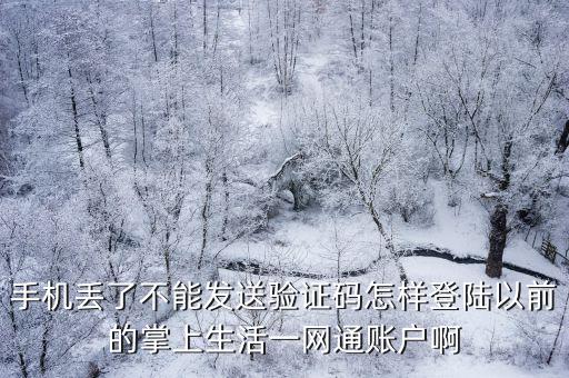 手機(jī)丟了不能發(fā)送驗(yàn)證碼怎樣登陸以前的掌上生活一網(wǎng)通賬戶啊