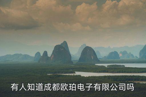 有人知道成都歐珀電子有限公司嗎