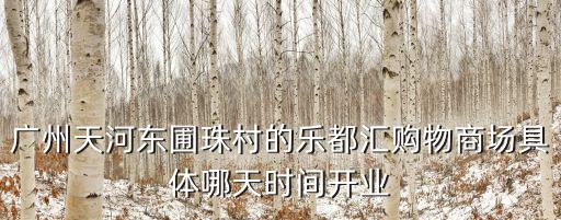 廣州天河東圃珠村的樂都匯購物商場具體哪天時間開業