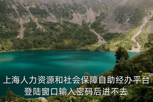 上海人力資源和社會(huì)保障自助經(jīng)辦平臺(tái)登陸窗口輸入密碼后進(jìn)不去