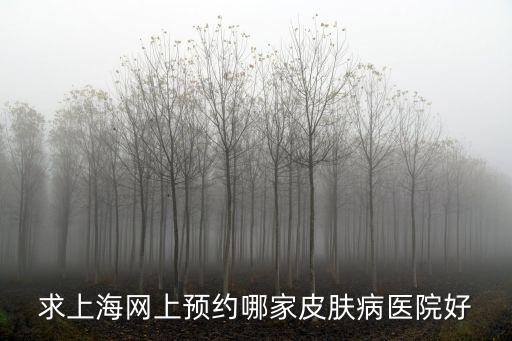 上海市皮膚病醫院網上掛號，求上海網上預約哪家皮膚病醫院好