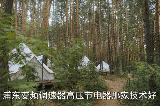 浦東變頻調(diào)速器高壓節(jié)電器那家技術好
