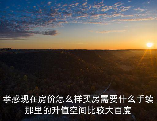 孝感現在房價怎么樣買房需要什么手續那里的升值空間比較大百度