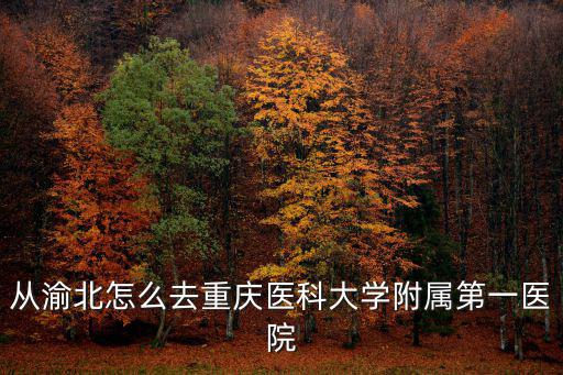 重慶市中醫院到醫科大一院，重慶市中醫院在哪里啊如果從沙坪壩大學城出發該怎么坐車呢
