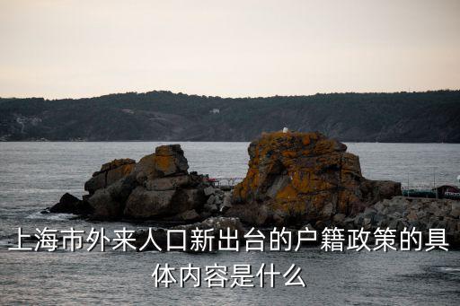上海市外來人口新出臺的戶籍政策的具體內容是什么