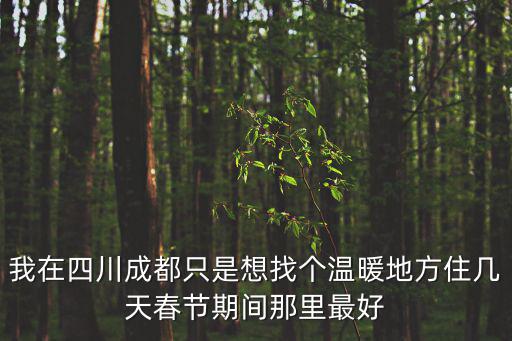 我在四川成都只是想找個溫暖地方住幾天春節期間那里最好