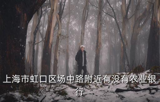 上海市虹口區場中路附近有沒有農業銀行