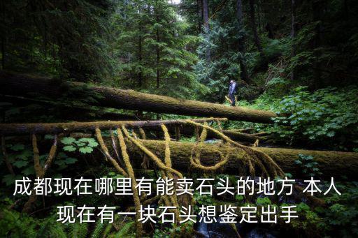 成都現(xiàn)在哪里有能賣石頭的地方 本人現(xiàn)在有一塊石頭想鑒定出手