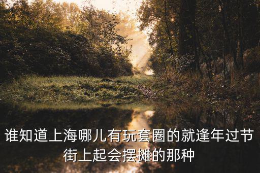 誰知道上海哪兒有玩套圈的就逢年過節街上起會擺攤的那種