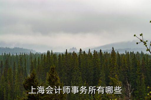 上海會計師事務所有哪些